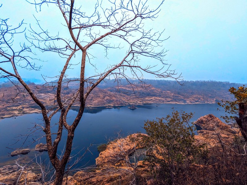 Ken Gharial Sanctuary